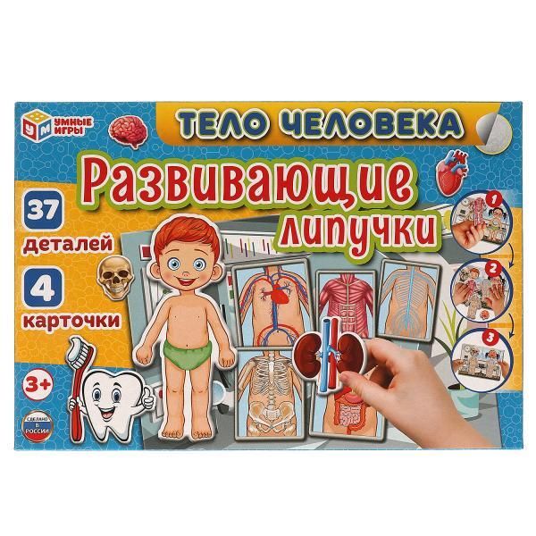 Educational game with Velcro Human body. Smart games